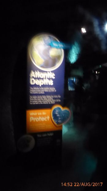 P1040445 - LONDON 22 AUG 2017