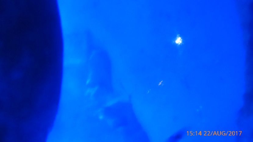 P1040487 - LONDON 22 AUG 2017