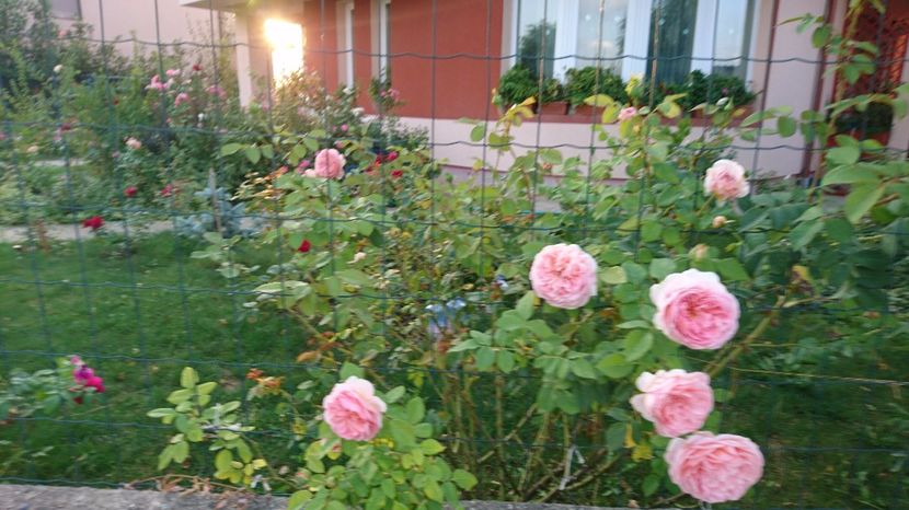  - Abraham Darby