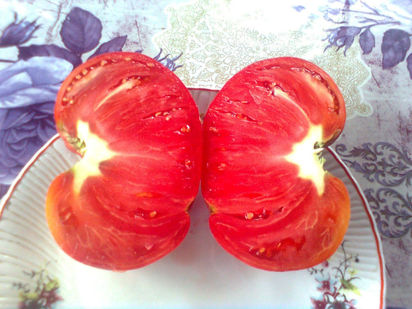  - RASADURI si RECOLTA