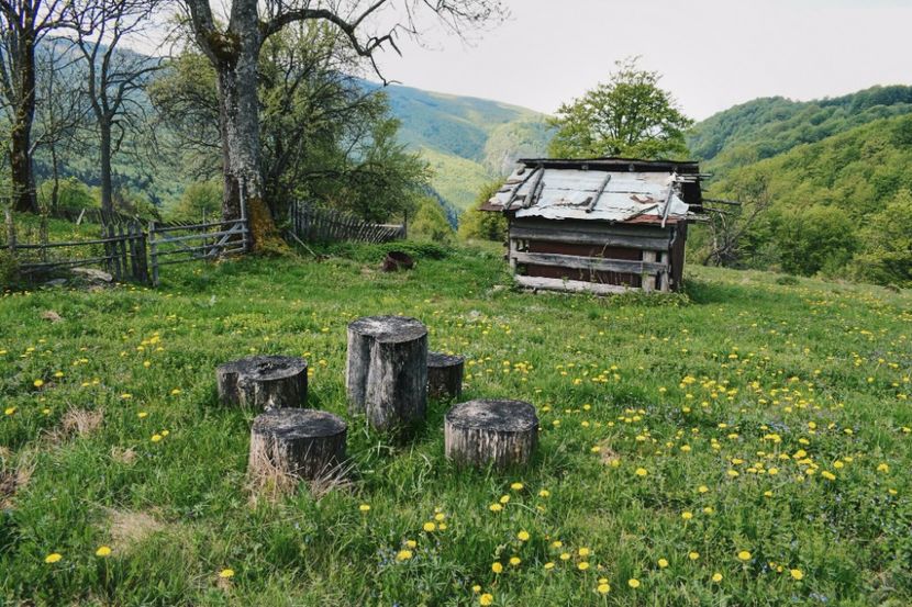  - Photo 08 - Vara