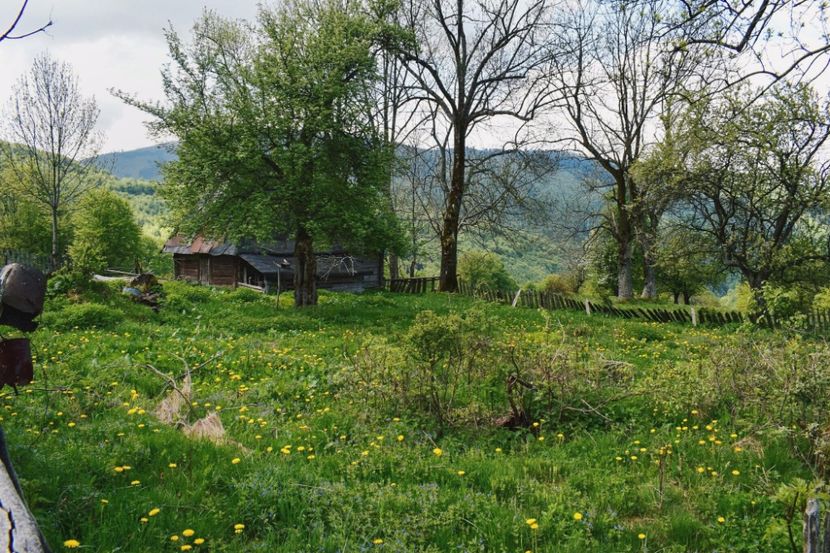  - Photo 08 - Vara