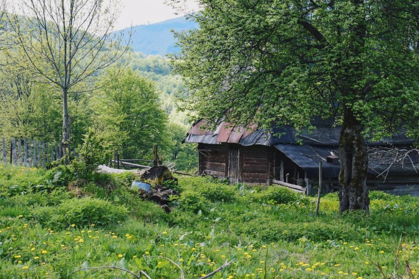  - Photo 08 - Vara
