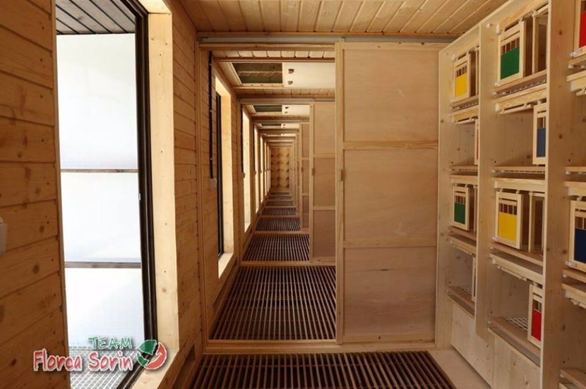  - Crescatorie de vis