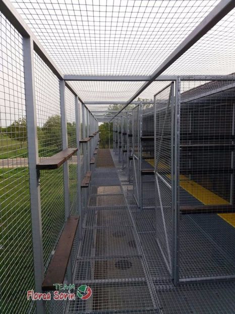  - Crescatorie de vis