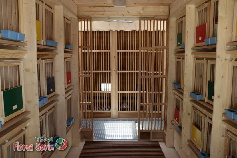  - Crescatorie de vis