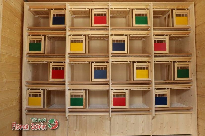  - Crescatorie de vis