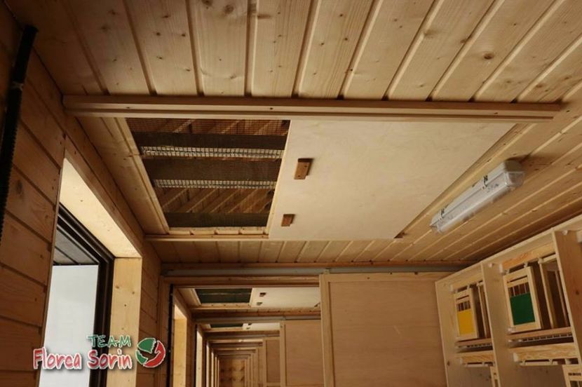  - Crescatorie de vis