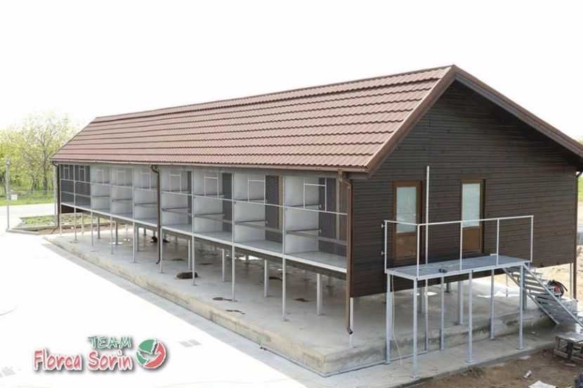  - Crescatorie de vis