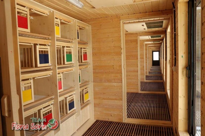  - Crescatorie de vis