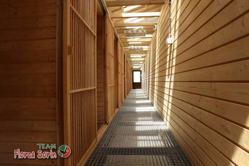  - Crescatorie de vis