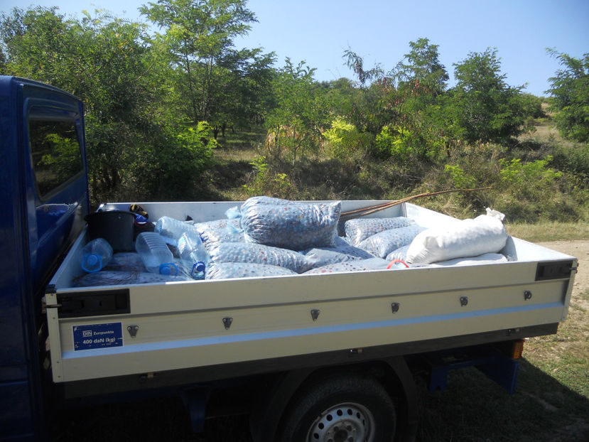  - Recolta prune 2017