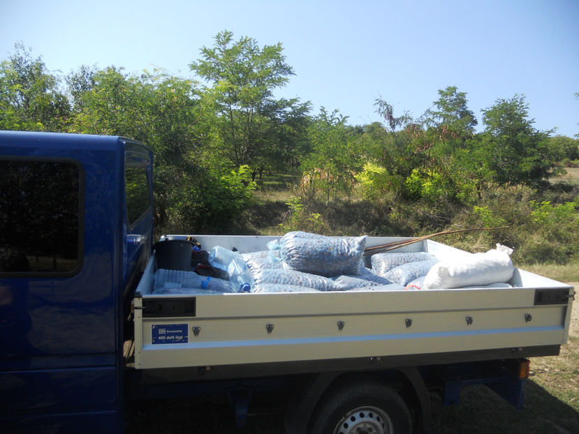  - Recolta prune 2017