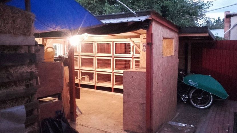 21146249_1516310975128916_854545975_o - Noul adapost in lucru