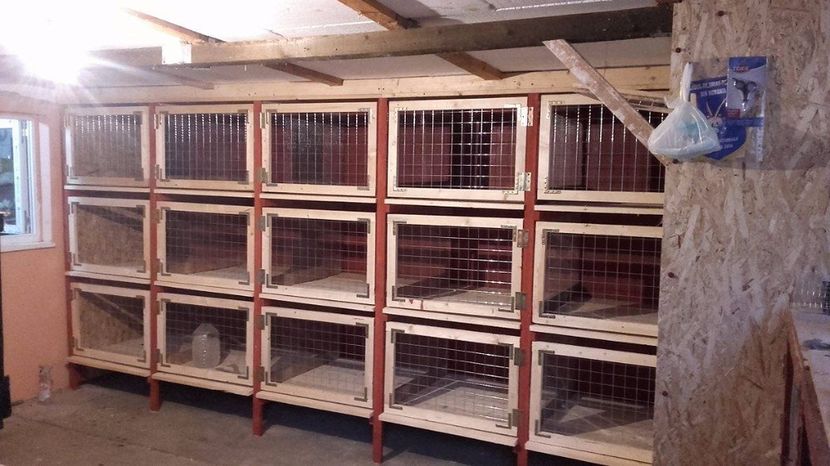 21103855_1516311285128885_658655008_o - Noul adapost in lucru