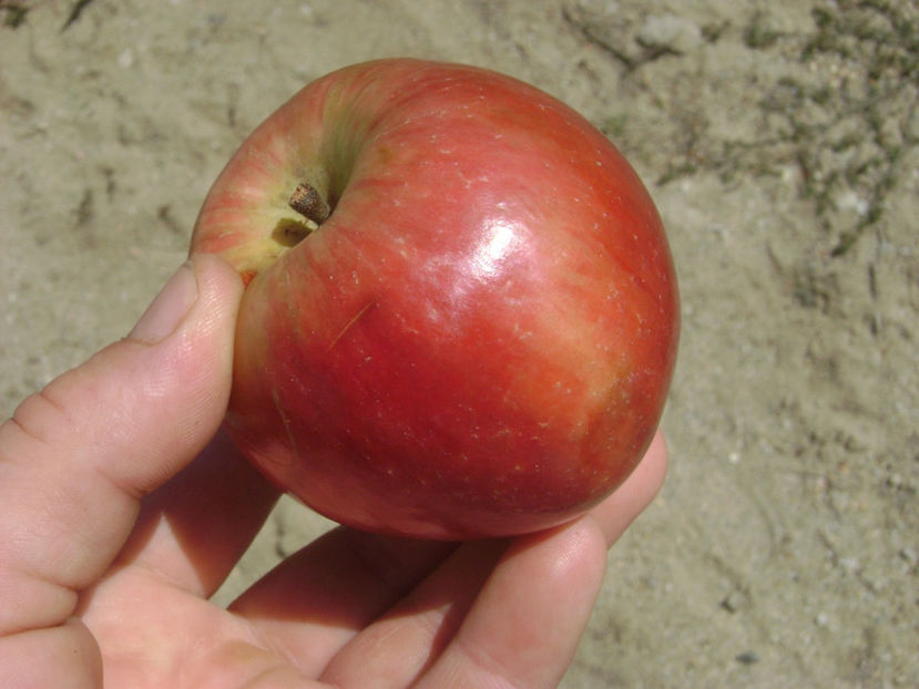 Mar Red Love 6 - Mar Red Love