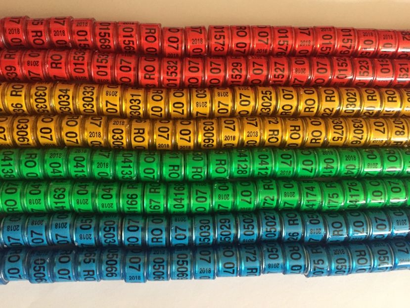  - Inele Porumbei Amatori 2018