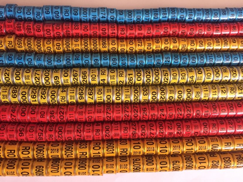  - Inele Porumbei Amatori 2018