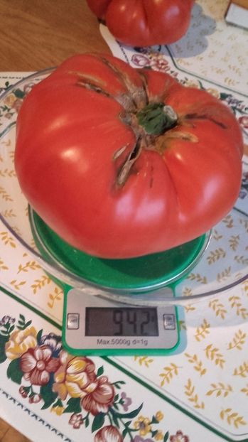 Record aug 2017 - Tomate 2017