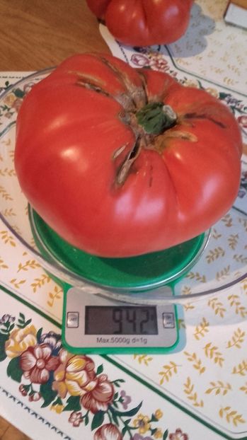 Record aug 2017 - Tomate 2017