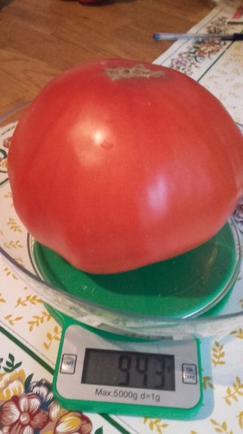 Rosie aug 2017 - Tomate 2017