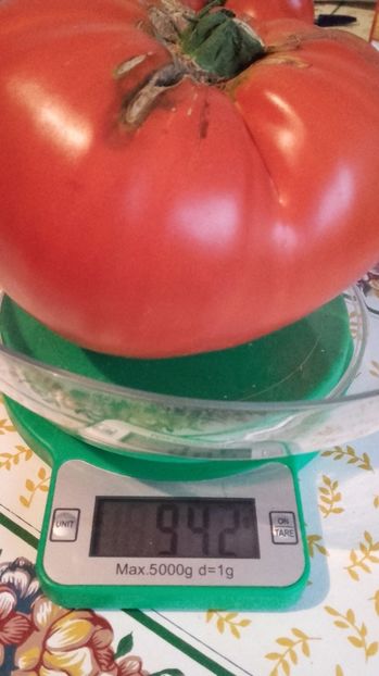 Rosie record aug 2017 - Tomate 2017