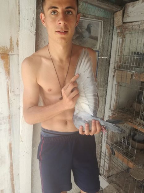  - TARTU-1486km aerian