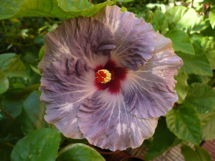 30.08.2017 - Calm Ocean