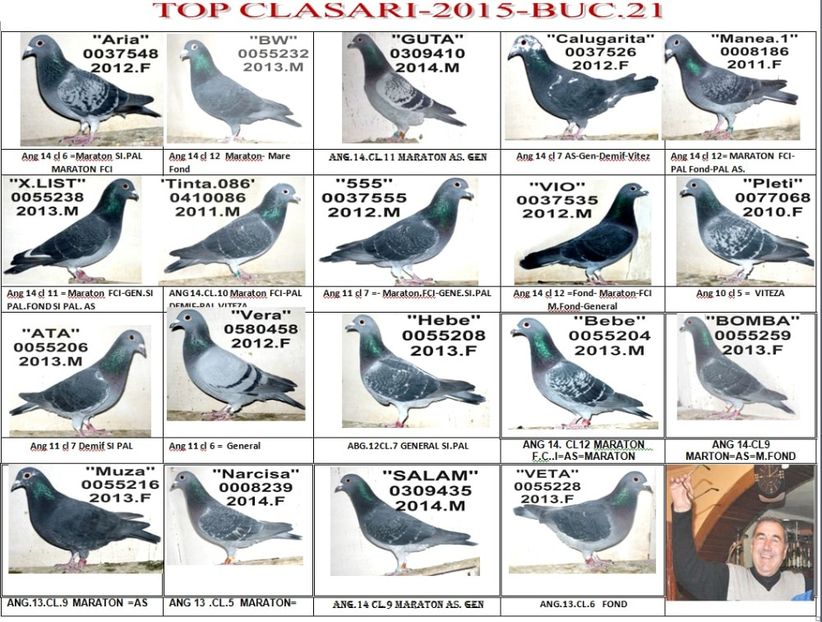 TOT 2015 - TOP CLASARI 2015