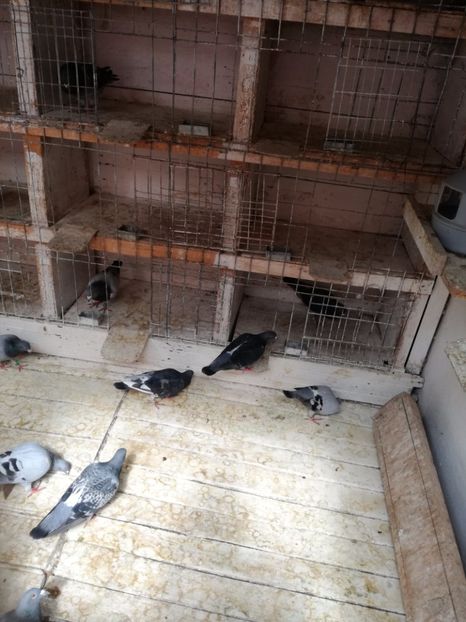  - 30-08-2017 Curatenia de toamna