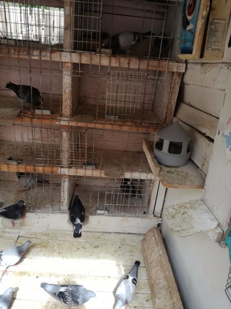  - 30-08-2017 Curatenia de toamna