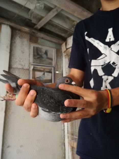  - 2017-Masculi din lotul de zbor