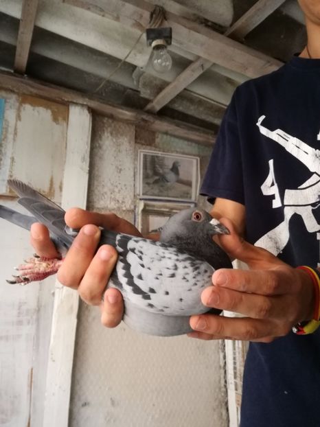  - 2017-Masculi din lotul de zbor