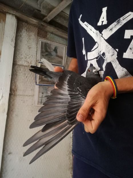  - 2017-Masculi din lotul de zbor