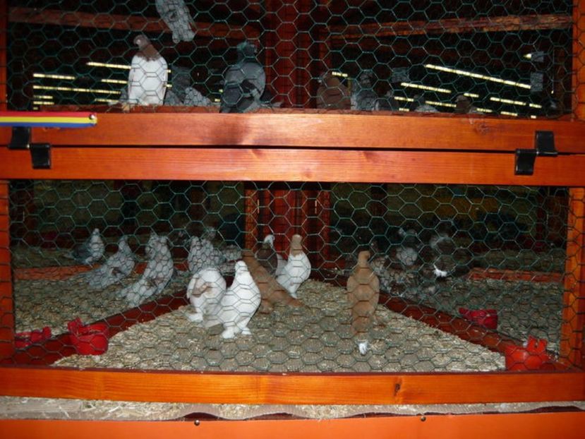 DSC05237 - Jucatori de Botosani albastri  8-06-2009