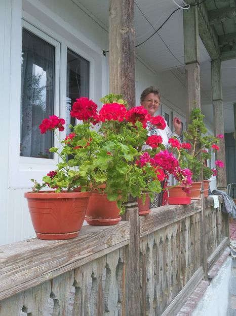  - florile de la tara 2014 2016 si 2017