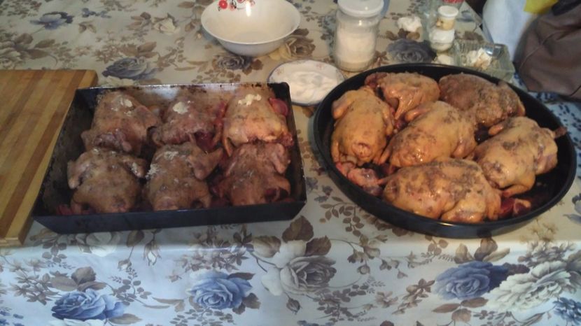 delicatese... - 0 DE PRIN_VOLIERA