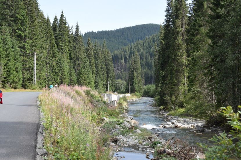  - 2017 - Obarsia Lotrului - prima zi