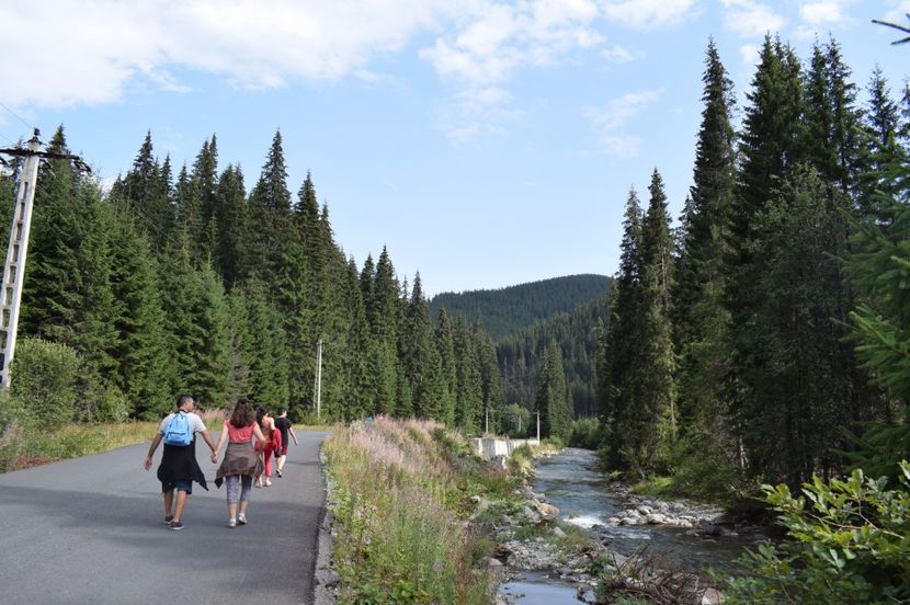  - 2017 - Obarsia Lotrului - prima zi
