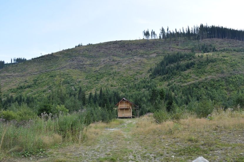  - 2017 - Obarsia Lotrului - prima zi