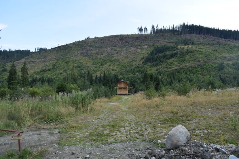  - 2017 - Obarsia Lotrului - prima zi