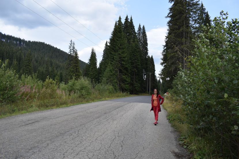  - 2017 - Obarsia Lotrului - prima zi