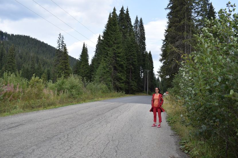  - 2017 - Obarsia Lotrului - prima zi