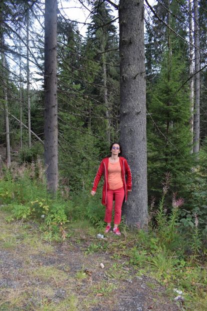  - 2017 - Obarsia Lotrului - prima zi