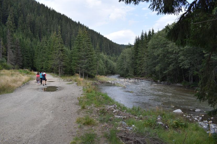  - 2017 - Obarsia Lotrului - prima zi