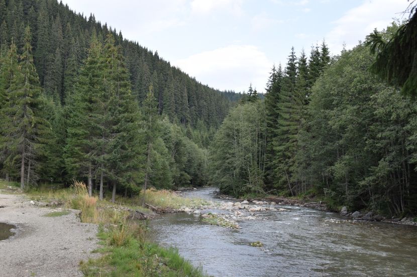  - 2017 - Obarsia Lotrului - prima zi