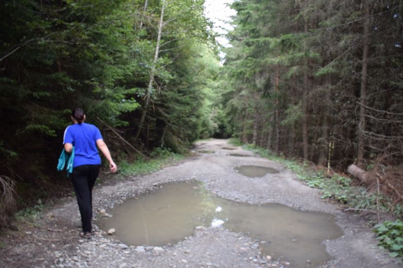  - 2017 - Obarsia Lotrului - prima zi