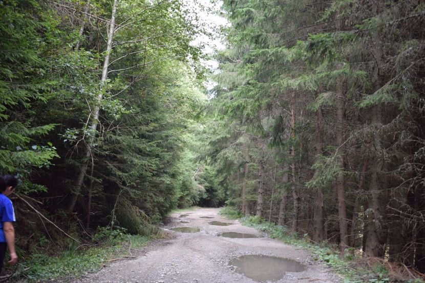  - 2017 - Obarsia Lotrului - prima zi