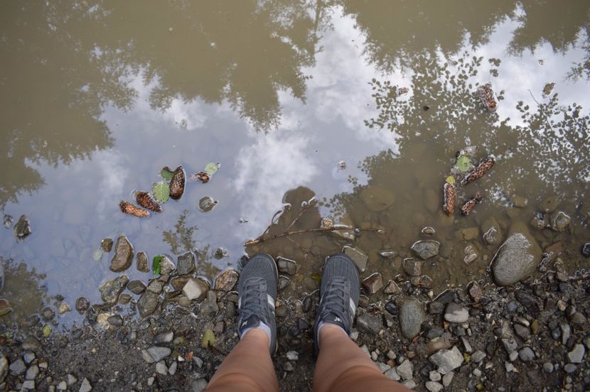  - 2017 - Obarsia Lotrului - prima zi