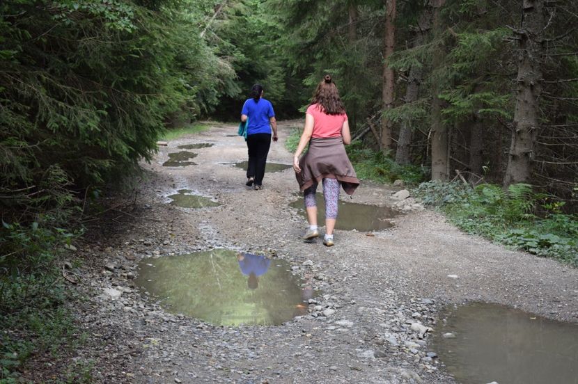  - 2017 - Obarsia Lotrului - prima zi